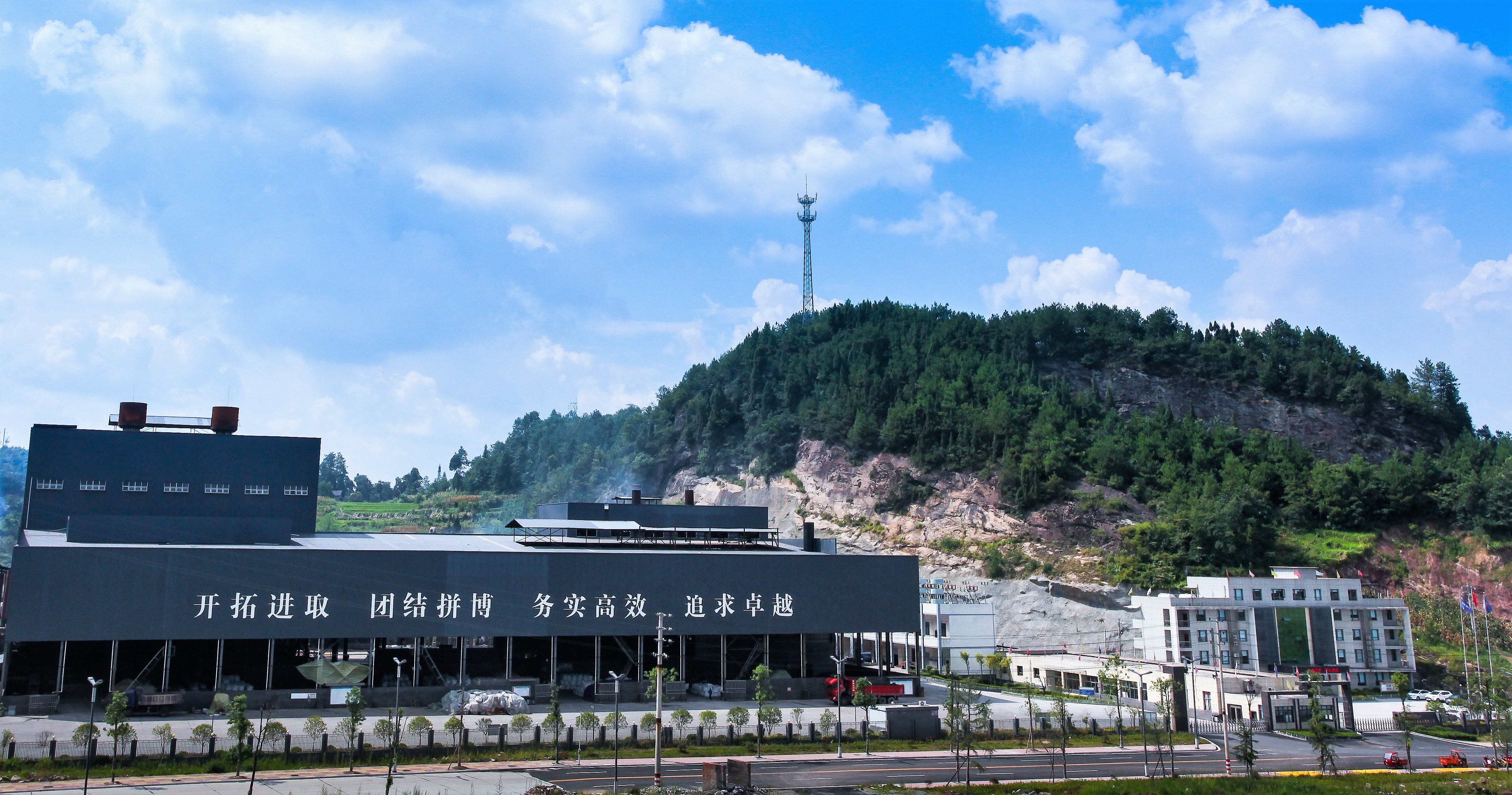 下属企业-w66集团